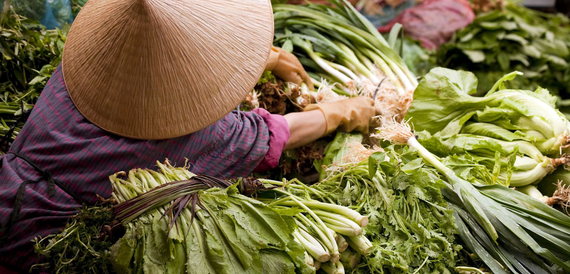 The Future of Food in Asia and Its Impact on People & Planet